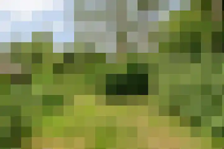 De Weijert 8 Dwingeloo thumbnail 49