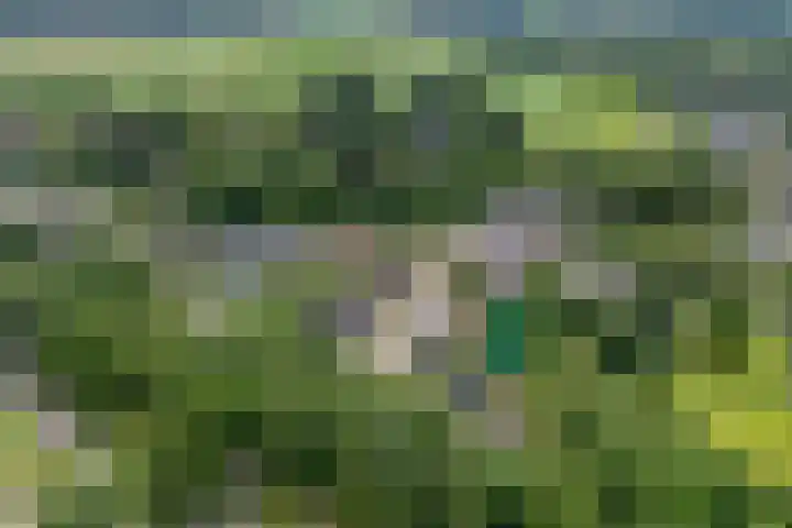 De Weijert 8 Dwingeloo thumbnail 5