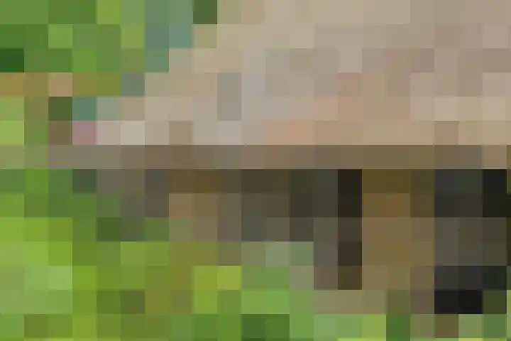 De Weijert 8 Dwingeloo thumbnail 52