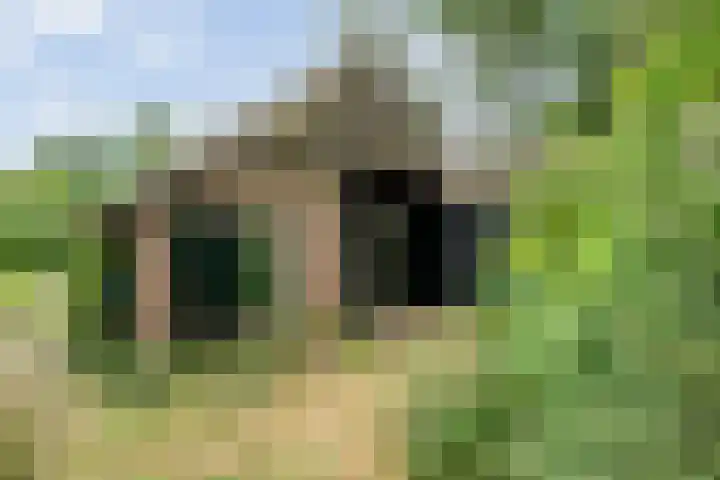 De Weijert 8 Dwingeloo thumbnail 53
