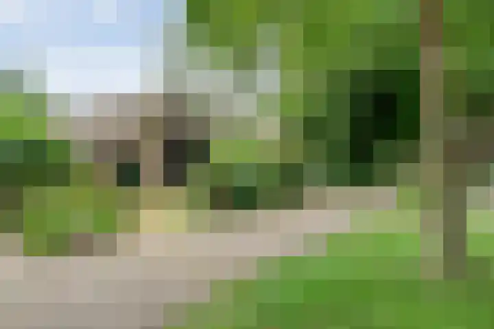 De Weijert 8 Dwingeloo thumbnail 54