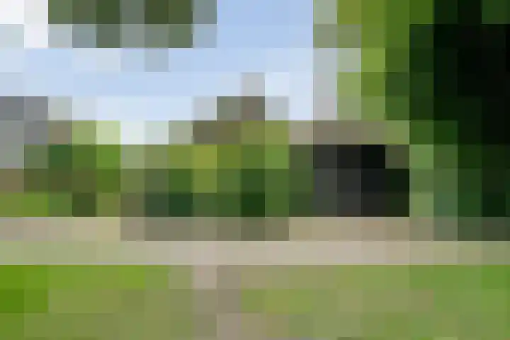 De Weijert 8 Dwingeloo thumbnail 55