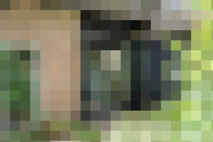 De Weijert 8 Dwingeloo thumbnail 56