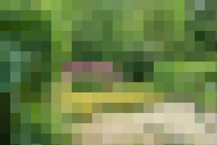 De Weijert 8 Dwingeloo thumbnail 58