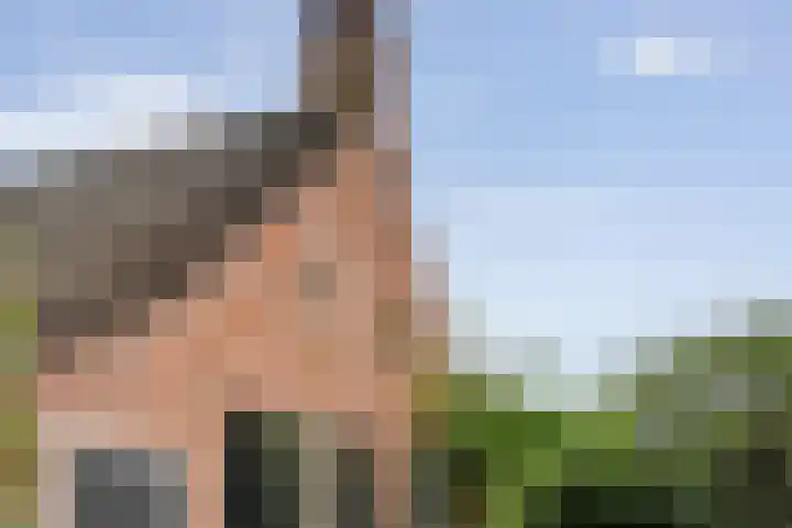 De Weijert 8 Dwingeloo thumbnail 59