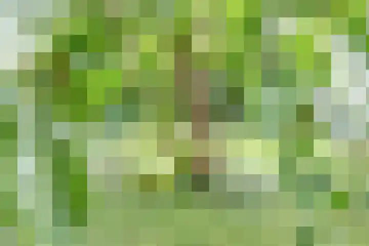 De Weijert 8 Dwingeloo thumbnail 60