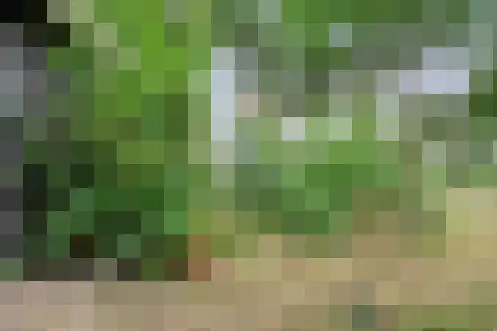 De Weijert 8 Dwingeloo thumbnail 61