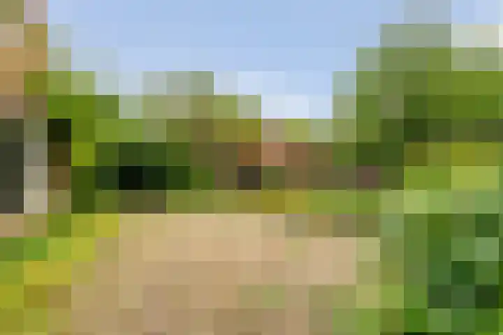 De Weijert 8 Dwingeloo thumbnail 63
