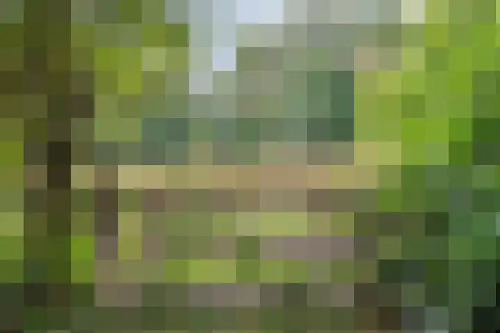De Weijert 8 Dwingeloo thumbnail 67