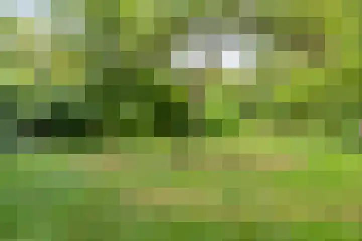 De Weijert 8 Dwingeloo thumbnail 69