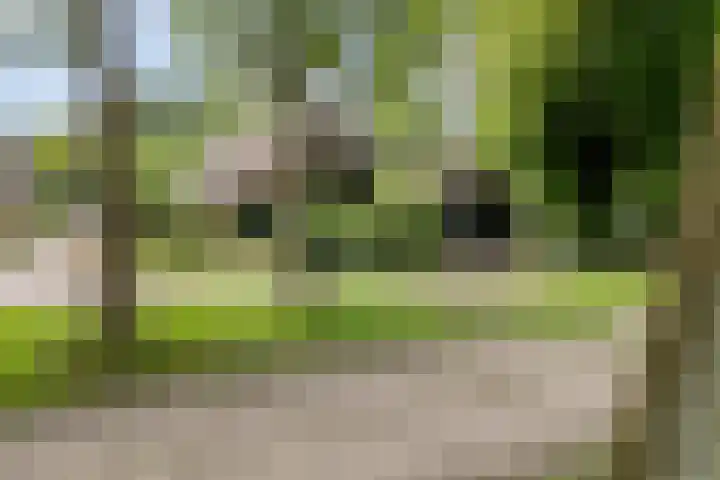 De Weijert 8 Dwingeloo thumbnail 7