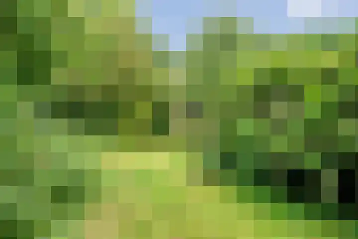 De Weijert 8 Dwingeloo thumbnail 70