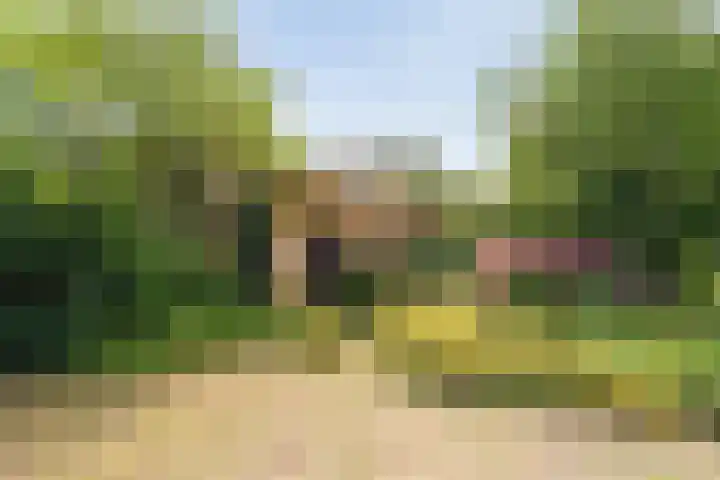De Weijert 8 Dwingeloo thumbnail 71