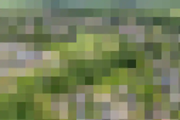 De Weijert 8 Dwingeloo thumbnail 72