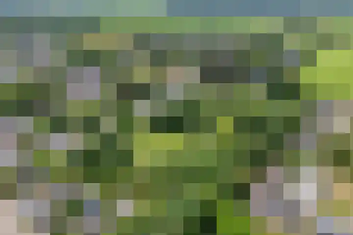 De Weijert 8 Dwingeloo thumbnail 73
