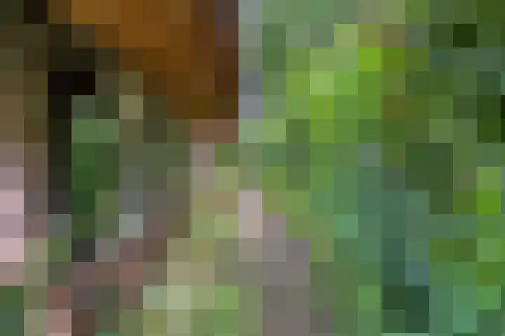 De Weijert 8 Dwingeloo thumbnail 8