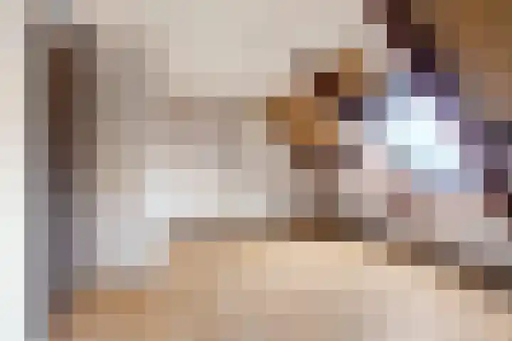 De Weinmakker 7 Wergea thumbnail 15
