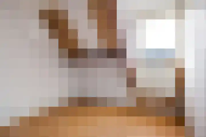 De Weinmakker 7 Wergea thumbnail 17