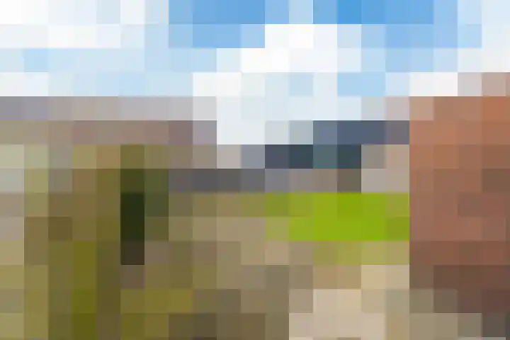 De Weinmakker 7 Wergea thumbnail 32