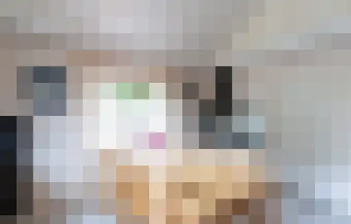 De Weitas 2 Tollebeek thumbnail 16
