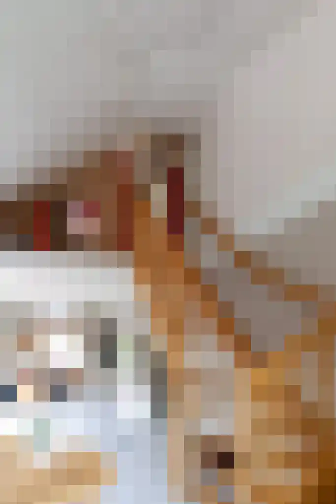 De Weitas 2 Tollebeek thumbnail 20