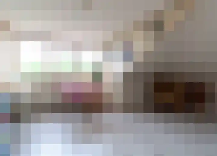 De Weitas 2 Tollebeek thumbnail 23