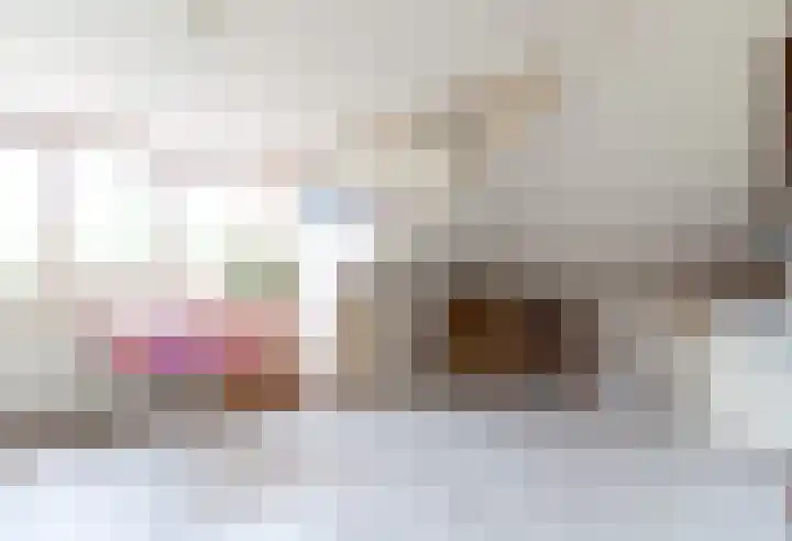 De Weitas 2 Tollebeek thumbnail 24
