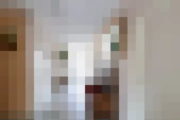 De Weitas 2 Tollebeek thumbnail 28