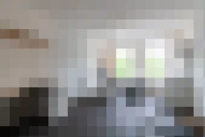 De Weitas 2 Tollebeek thumbnail 29