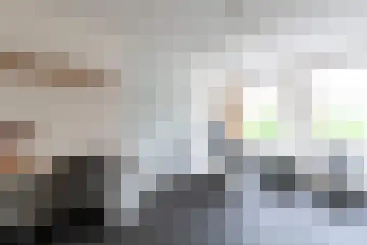 De Weitas 2 Tollebeek thumbnail 30