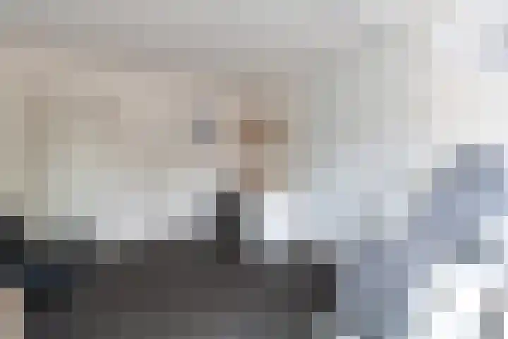 De Weitas 2 Tollebeek thumbnail 31