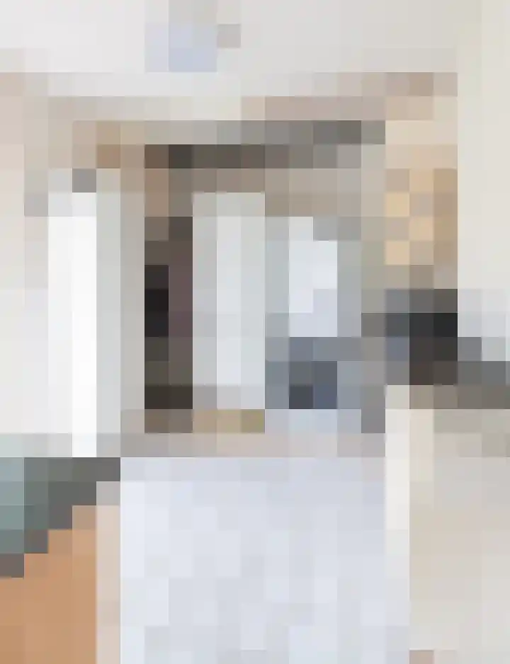 De Weitas 2 Tollebeek thumbnail 39