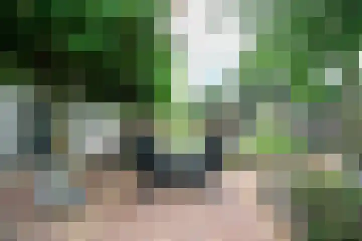 De Weitas 2 Tollebeek thumbnail 4