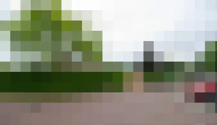 De Weitas 2 Tollebeek thumbnail 42