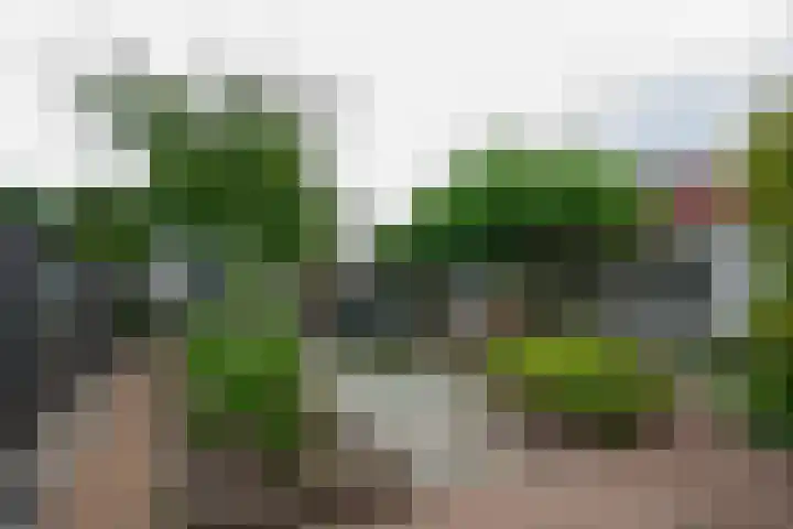 De Weitas 2 Tollebeek thumbnail 5