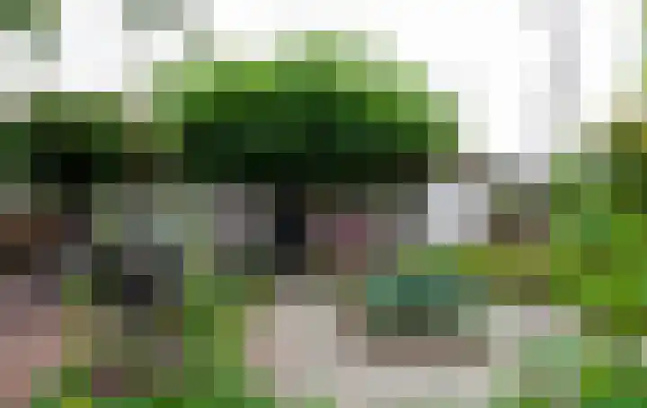 De Weitas 2 Tollebeek thumbnail 6