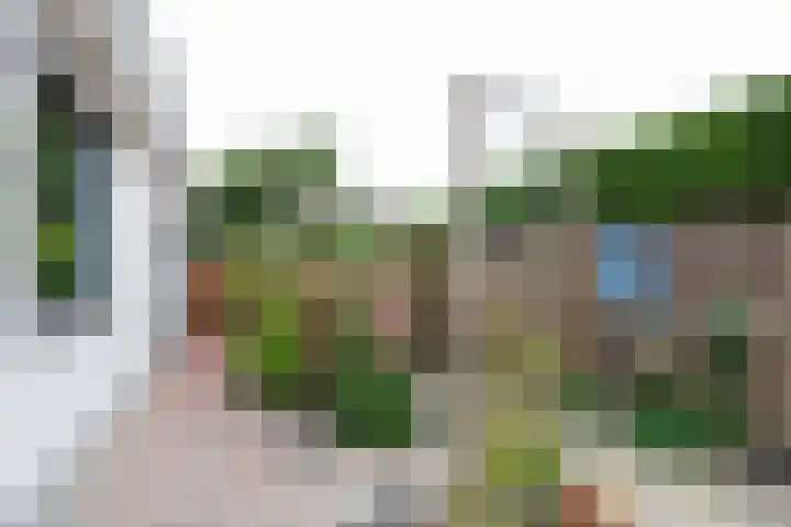 De Weitas 2 Tollebeek thumbnail 9