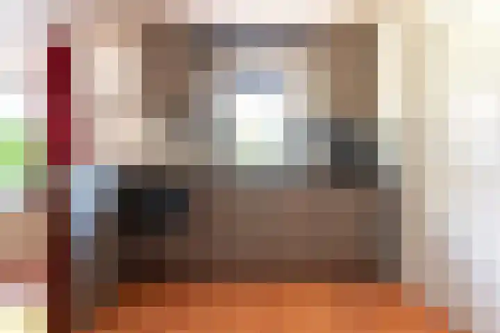De Weitas 5 Tollebeek thumbnail 12