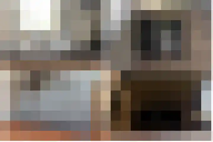 De Weitas 5 Tollebeek thumbnail 13