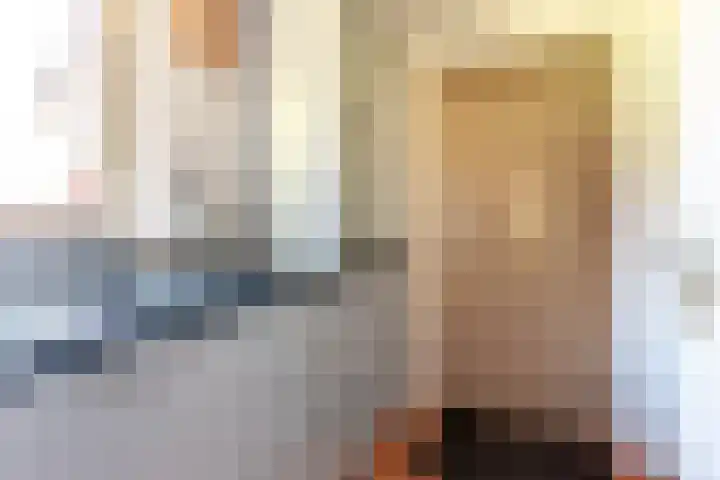 De Weitas 5 Tollebeek thumbnail 14