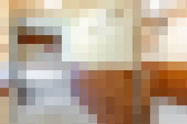 De Weitas 5 Tollebeek thumbnail 15