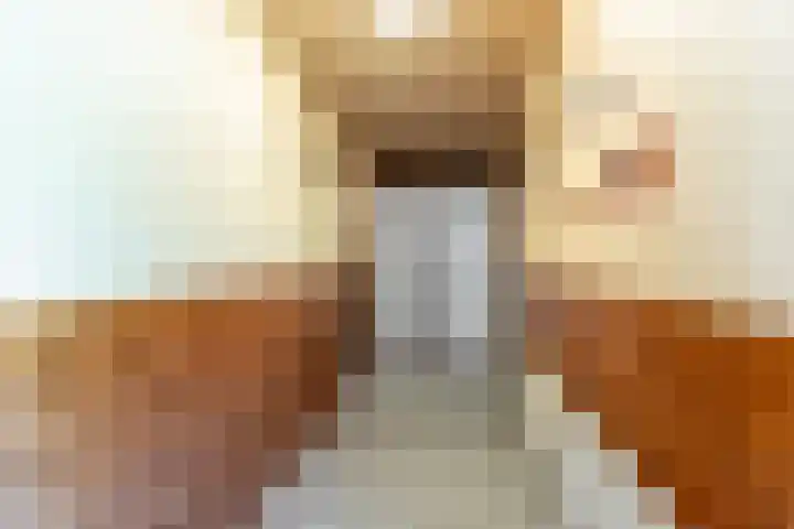 De Weitas 5 Tollebeek thumbnail 16