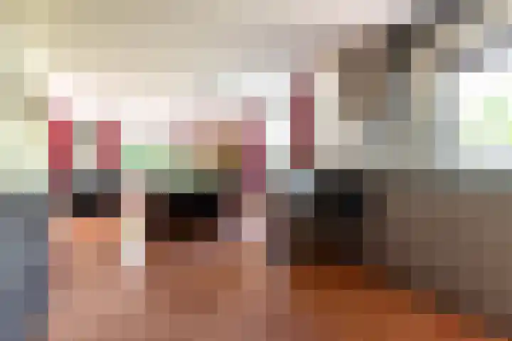 De Weitas 5 Tollebeek thumbnail 20