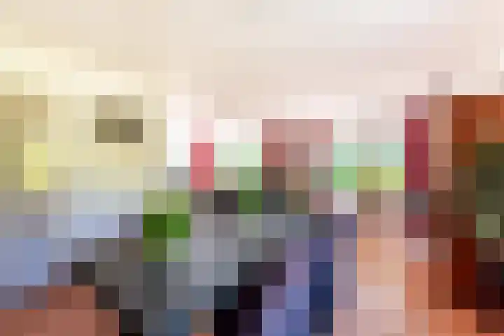 De Weitas 5 Tollebeek thumbnail 21