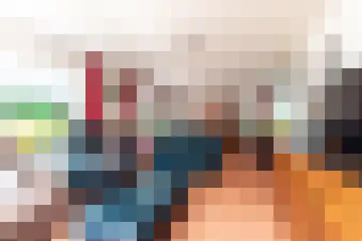 De Weitas 5 Tollebeek thumbnail 25