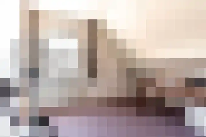 De Weitas 5 Tollebeek thumbnail 30