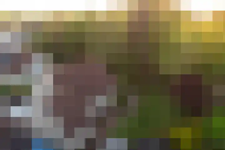 De Weitas 5 Tollebeek thumbnail 38