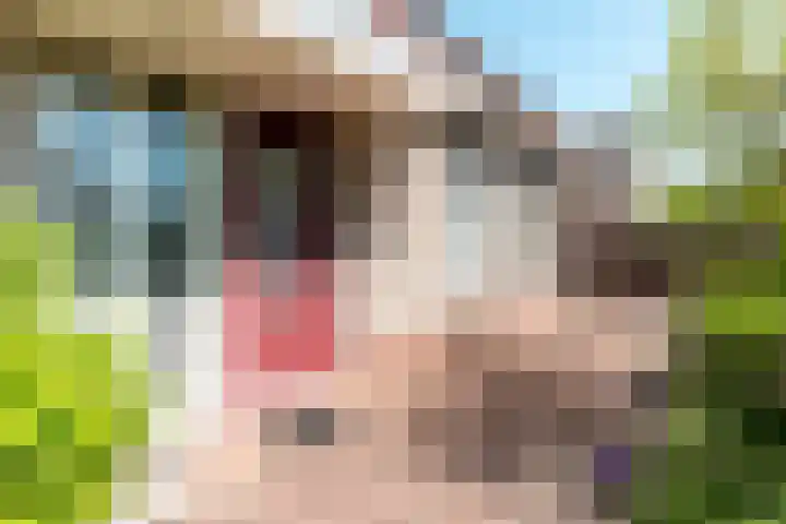De Weitas 5 Tollebeek thumbnail 4