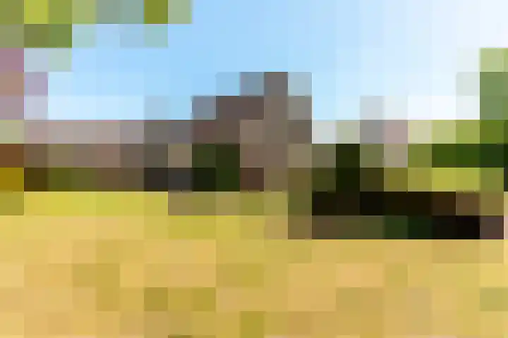 De Weitas 5 Tollebeek thumbnail 42