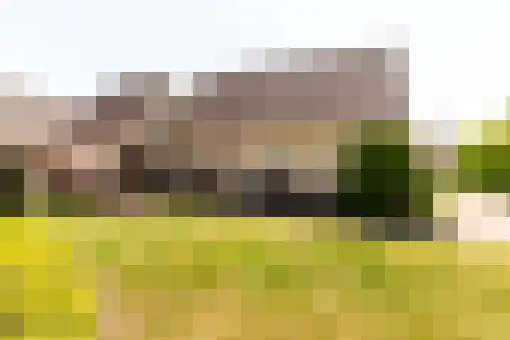 De Weitas 5 Tollebeek thumbnail 43